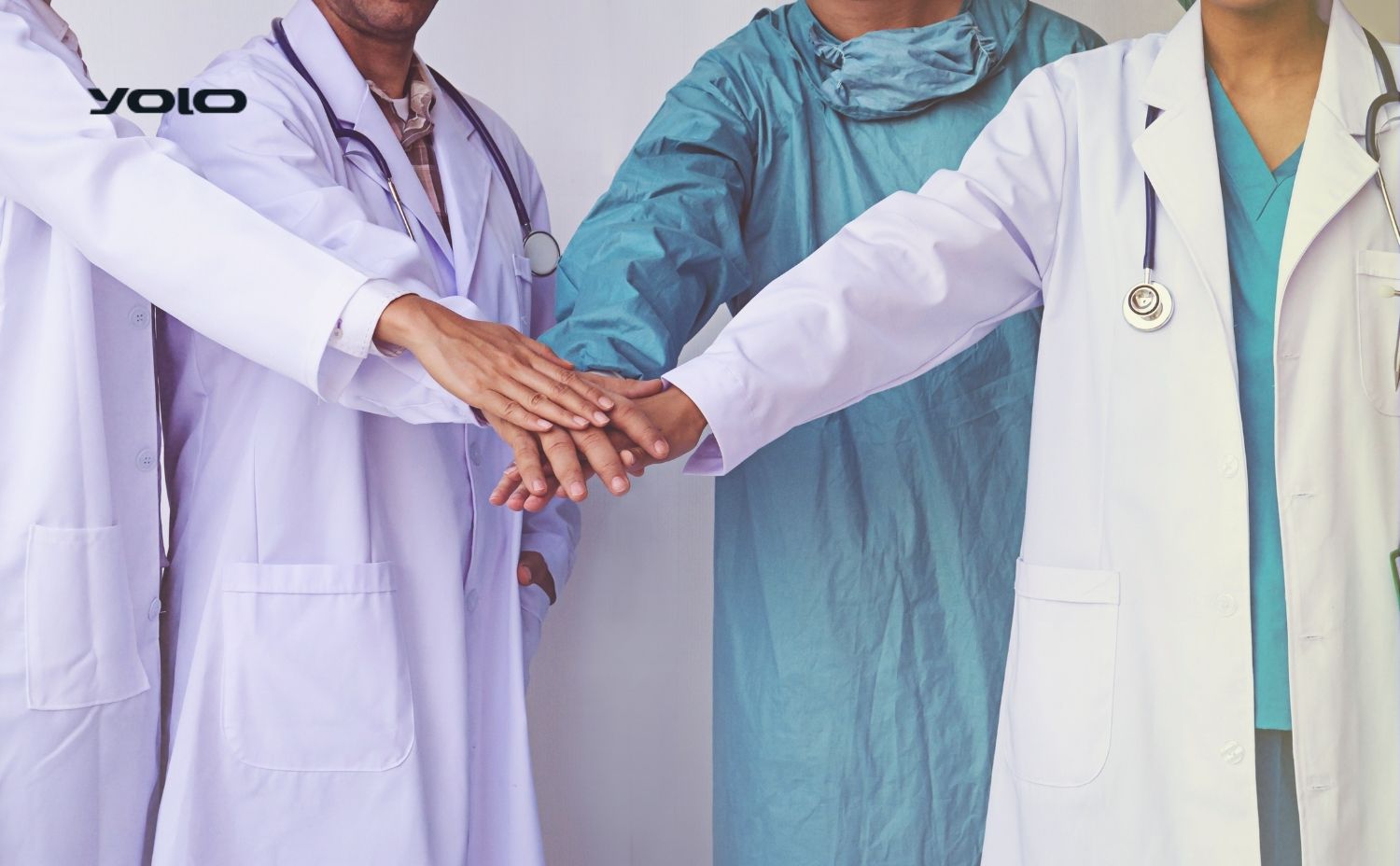 Doctors and Nurses Management Software
